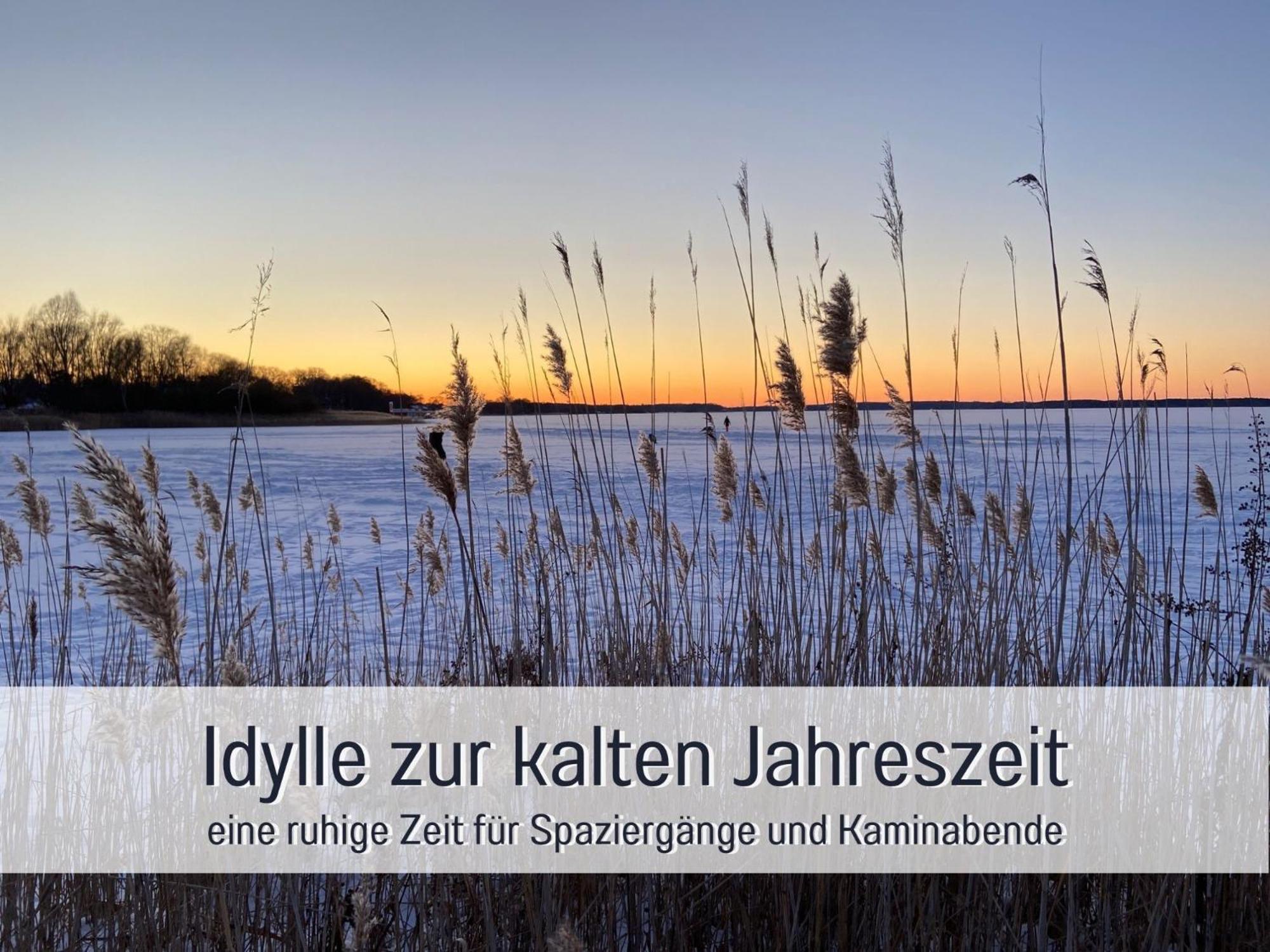 Strandhaus Mathea - Ruhige Lage Direkt Am Fleesensee - Parkplatz, Kamin, Sauna - Familienfreundlich Unter Göhren Exteriér fotografie