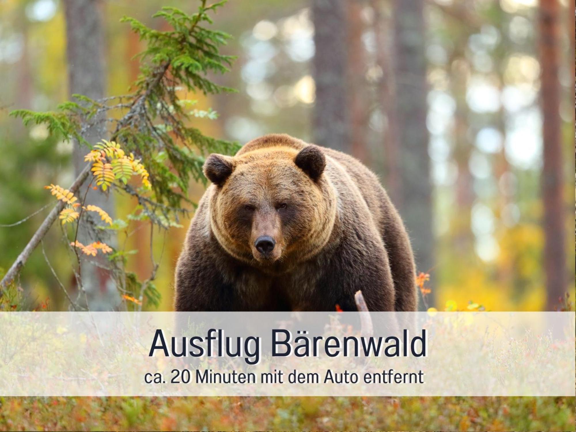 Strandhaus Mathea - Ruhige Lage Direkt Am Fleesensee - Parkplatz, Kamin, Sauna - Familienfreundlich Unter Göhren Exteriér fotografie
