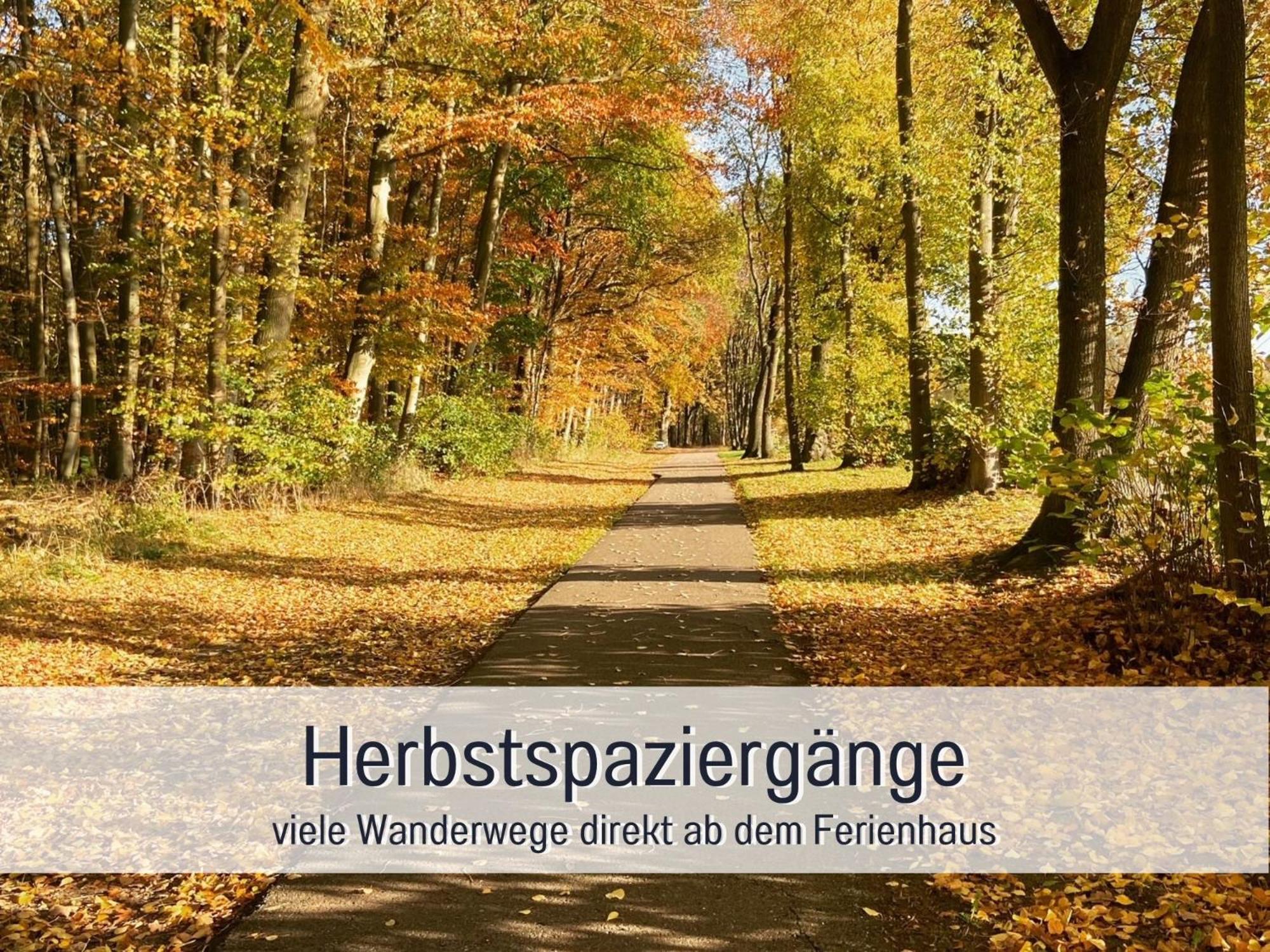 Strandhaus Mathea - Ruhige Lage Direkt Am Fleesensee - Parkplatz, Kamin, Sauna - Familienfreundlich Unter Göhren Exteriér fotografie